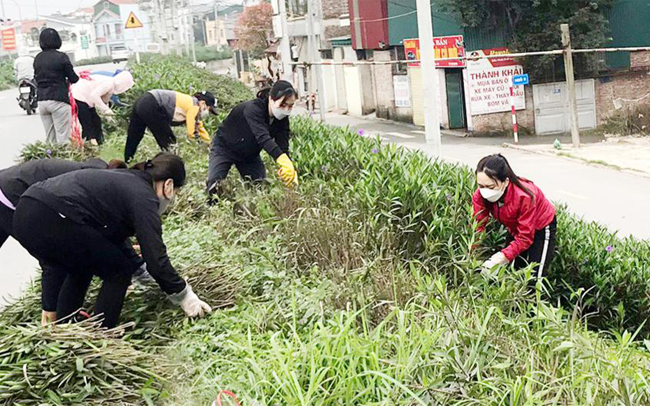 Diện mạo mới cho những tuyến đê